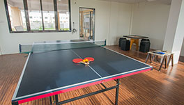 Budget Inn Tiger Plaza (Service Apartments)-GameRoom-1